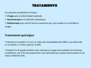 CANCER PULMON 2.pptx