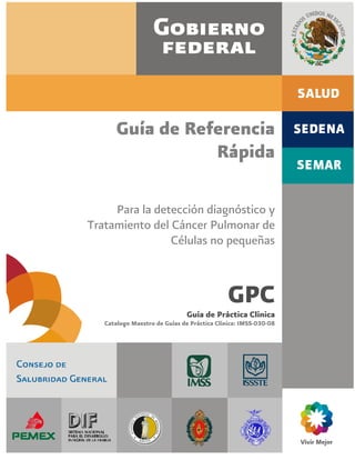 Guía de Referencia
Rápida
Para la detección diagnóstico y
Tratamiento del Cáncer Pulmonar de
Células no pequeñas
GPC
Guía de Práctica Clínica
Catalogo Maestro de Guías de Práctica Clínica: IMSS-030-08
 