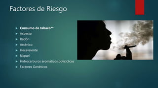 Factores de Riesgo
 Consumo de tabaco**
 Asbesto
 Radón
 Arsénico
 Hexavalente
 Níquel
 Hidrocarburos aromáticos policíclicos
 Factores Genéticos
 