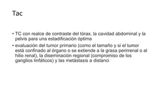 Tac
• TC con realce de contraste del tórax, la cavidad abdominal y la
pelvis para una estadificación óptima
• evaluación del tumor primario (como el tamaño y si el tumor
está confinado al órgano o se extiende a la grasa perirrenal o al
hilio renal), la diseminación regional (compromiso de los
ganglios linfáticos) y las metástasis a distanci
 