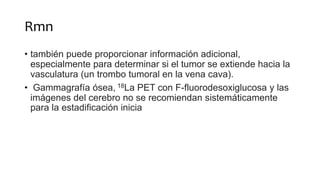 Rmn
• también puede proporcionar información adicional,
especialmente para determinar si el tumor se extiende hacia la
vasculatura (un trombo tumoral en la vena cava).
• Gammagrafía ósea, 18La PET con F-fluorodesoxiglucosa y las
imágenes del cerebro no se recomiendan sistemáticamente
para la estadificación inicia
 