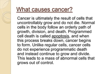 What causes cancer?
Cancer is ultimately the result of cells that
uncontrollably grow and do not die. Normal
cells in the body follow an orderly path of
growth, division, and death. Programmed
cell death is called apoptosis, and when
this process breaks down, cancer begins
to form. Unlike regular cells, cancer cells
do not experience programmatic death
and instead continue to grow and divide.
This leads to a mass of abnormal cells that
grows out of control.
 