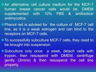 MCF-7: Human Breast Cancer Cell Line | PPT
