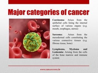 Cancer Risk Factors | PPTX