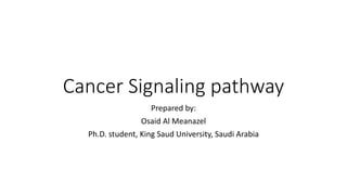 Cancer Signaling pathway
Prepared by:
Osaid Al Meanazel
Ph.D. student, King Saud University, Saudi Arabia
 