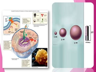 Cancer slides | PPTX