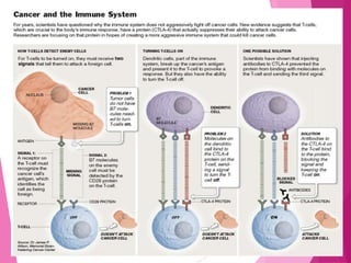 Cancer slides | PPTX