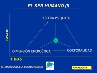 EL SER HUMANO (I)

                              ESFERA PSÍQUICA
  ESPACI O




                                    R


             DIMENSIÓN ENERGÉTICA          CORPORALIDAD

             TIEMPO

INTRODUCCIÓN A LA SOFRODYNAMIA®                 APARTADO-1
 
