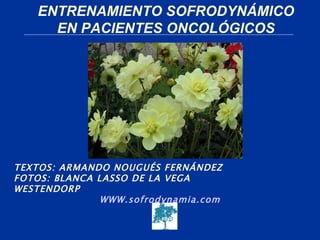 ENTRENAMIENTO SOFRODYNÁMICO
      EN PACIENTES ONCOLÓGICOS




TEXTOS: ARMANDO NOUGUÉS FERNÁNDEZ
FOTOS: BLANCA LASSO DE LA VEGA
WESTENDORP
               WWW.sofrodynamia.com
 