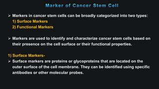  Markers in cancer stem cells can be broadly categorized into two types:
1) Surface Markers
2) Functional Markers
 Markers are used to identify and characterize cancer stem cells based on
their presence on the cell surface or their functional properties.
1) Surface Markers-
 Surface markers are proteins or glycoproteins that are located on the
outer surface of the cell membrane. They can be identified using specific
antibodies or other molecular probes.
 