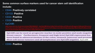 Some common surface markers used for cancer stem cell identification
include:
• CD44- Positively correlated
• CD133- Positive
• CD24- Positive
• CD29- Positive
• EpCAM-
https://www.ncbi.nlm.nih.gov/pmc/articles/PMC3088404/#:~:text=EpCAM%20can%20be%20used%20as,and%20node%2Dnegative%20breast%20cancer.&
text=Furthermore%2C%20frequent%20and%20high%2Dlevel,%2C%20stomach%2C%20pancreas%20and%20prostate.&text=Most%20soft%2Dtissue%20t
umours%20and%20all%20lymphomas%20are%20EpCAM%20negative.
• CD90- Positive
 