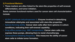 2) Functional Markers-
 These markers are often linked to the stem-like properties of self-renewal,
differentiation, and tumor initiation.
Some common functional markers used for cancer stem cell characterization
include:
• ALDH1 (aldehyde dehydrogenase 1): Enzyme involved in detoxifying
intracellular aldehydes and associated with stem-like properties.
• Sphere-forming ability: Cancer stem cells often form spheres in culture
conditions, indicating their self-renewal capability.
• Drug efflux pumps (e.g., ABC transporters): Cancer stem cells may
express these pumps, allowing them to resist chemotherapy.
• Tumorsphere-initiating frequency: This measures the ability of cancer
stem cells to initiate tumor formation.
 