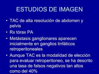 ESTUDIOS DE IMAGENTAC de alta resolución de abdomen y pelvisRx tórax PAMetástasis ganglionares aparecen inicialmente en ganglios linfáticos retroperitonealesAunque TAC es la modalidad de elección para evaluar retroperitoneo, se ha descrito una tasa de falsos negativos tan altos como del 40%