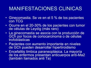 MANIFESTACIONES CLINICASGinecomastia. Se ve en el 5 % de los pacientes con TCGOcurre en el 20-30% de los pacientes con tumor de células de Leydig (más raro)La ginecomastia se asocia con la producción de GCh por focos de coriocarcinoma o de células trofoblásticasPacientes con aumento importante en niveles de GCh pueden desarrollar hipertiroidismoEncefalitis límbica paraneoplásica. La mayoría de los enfermos presentan anticuerpos anti-Ma2 (también llamados anti Ta)