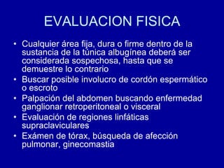 EVALUACION FISICACualquier área fija, dura o firme dentro de la sustancia de la túnica albugínea deberá ser considerada sospechosa, hasta que se demuestre lo contrarioBuscar posible involucro de cordón espermático o escrotoPalpación del abdomen buscando enfermedad ganglionar retroperitoneal o visceralEvaluación de regiones linfáticas supraclavicularesExámen de tórax, búsqueda de afección pulmonar, ginecomastia