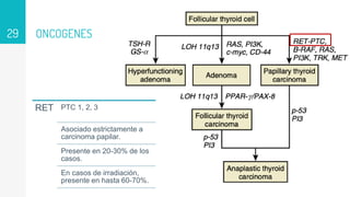 ONCOGENES
29
RET PTC 1, 2, 3
Asociado estrictamente a
carcinoma papilar.
Presente en 20-30% de los
casos.
En casos de irradiación,
presente en hasta 60-70%.
 