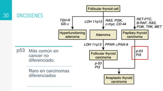 ONCOGENES
30
p53 Más común en
cancer no
diferenciado.
Raro en carcinomas
diferenciados
 