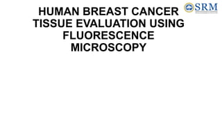 HUMAN BREAST CANCER
TISSUE EVALUATION USING
FLUORESCENCE
MICROSCOPY
 