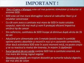  Zinc + Cupru + ManganZinc + Cupru + Mangan este cel mai puternic stimulator şi inductor aleste cel mai puternic stimulator şi inductor al
enzimei SODenzimei SOD
 SOD este cel mai mare distrugător natural al radicalilor liberi şi alSOD este cel mai mare distrugător natural al radicalilor liberi şi al
celulelor canceroasecelulelor canceroase
 Cu cât vom avea o cantitate mai mare de SOD în toate celuleleCu cât vom avea o cantitate mai mare de SOD în toate celulele
corpului, vom trăi mai mult şi vom fi protejaţi eficient împotrivacorpului, vom trăi mai mult şi vom fi protejaţi eficient împotriva
oricărui tip de canceroricărui tip de cancer
 Din nefericireDin nefericire,, cantitatea de SOD începe să diminue după vârsta de 35cantitatea de SOD începe să diminue după vârsta de 35
de anide ani
 Aducând prin alimentaţie cele 3 metale (există toate în cantităţiAducând prin alimentaţie cele 3 metale (există toate în cantităţi
optime pentru absorbţie şi record în nuci şi-n castanele comestibile),optime pentru absorbţie şi record în nuci şi-n castanele comestibile),
chiar dacă activitatea SOD este în acest moment mică, ea poate creştechiar dacă activitatea SOD este în acest moment mică, ea poate creşte
şi se va reactiva la nivelul din tinereţe, în maxim 3 săptămânişi se va reactiva la nivelul din tinereţe, în maxim 3 săptămâni
 Sucul (pudra) de orz verdeSucul (pudra) de orz verde conţine SOD într-o cantitate enormă, ceaconţine SOD într-o cantitate enormă, cea
mai mare din întreg regnul vegetalmai mare din întreg regnul vegetal
 Decoctul de SALVIEDecoctul de SALVIE are tropism deosebit pe tumorile tubului digestiv,are tropism deosebit pe tumorile tubului digestiv,
dar mai ales de colondar mai ales de colon
 
