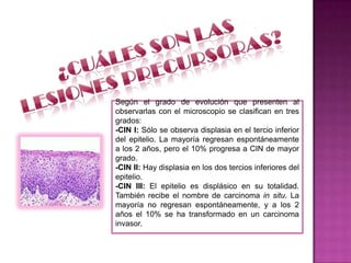 Según el grado de evolución que presenten al
observarlas con el microscopio se clasifican en tres
grados:
-CIN I: Sólo se observa displasia en el tercio inferior
del epitelio. La mayoría regresan espontáneamente
a los 2 años, pero el 10% progresa a CIN de mayor
grado.
-CIN II: Hay displasia en los dos tercios inferiores del
epitelio.
-CIN III: El epitelio es displásico en su totalidad.
También recibe el nombre de carcinoma in situ. La
mayoría no regresan espontáneamente, y a los 2
años el 10% se ha transformado en un carcinoma
invasor.
 