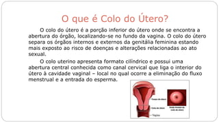 O que é Colo do Útero?
O colo do útero é a porção inferior do útero onde se encontra a
abertura do órgão, localizando-se no fundo da vagina. O colo do útero
separa os órgãos internos e externos da genitália feminina estando
mais exposto ao risco de doenças e alterações relacionadas ao ato
sexual.
O colo uterino apresenta formato cilíndrico e possui uma
abertura central conhecida como canal cervical que liga o interior do
útero à cavidade vaginal – local no qual ocorre a eliminação do fluxo
menstrual e a entrada do esperma.
 