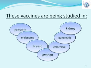 These vaccines are being studied in:
11
prostate
melanoma
breast
ovarian
colorectal
pancreatic
kidney
 