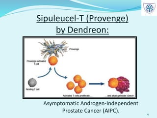 Sipuleucel-T (Provenge)
by Dendreon:
19
Asymptomatic Androgen-Independent
Prostate Cancer (AIPC).
 