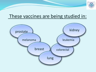 These vaccines are being studied in:
prostate
melanoma
breast
lung
colorectal
leukemia
kidney
 