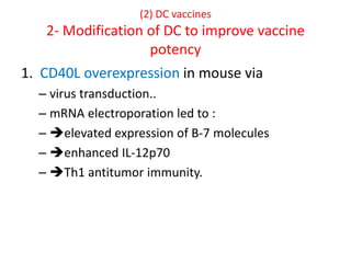(2) DC vaccines
2- Modification of DC to improve vaccine
potency
1. CD40L overexpression in mouse via
– virus transduction..
– mRNA electroporation led to :
– elevated expression of B-7 molecules
– enhanced IL-12p70
– Th1 antitumor immunity.
 
