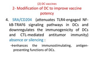 (2) DC vaccines
2- Modification of DC to improve vaccine
potency
4. SRA/CD204 (attenuates TLR4-engaged NF-
kB-TRAF6 signaling pathways in DCs and
downregulates the immunogenicity of DCs
and CTL-mediated antitumor immunity)
absence or silencing :
→enhances the immunostimulating, antigen-
presenting functions of DCs.
 