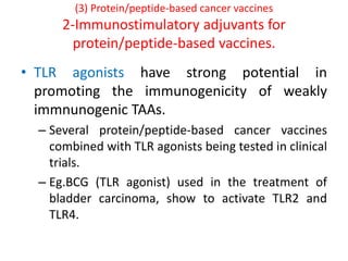 (3) Protein/peptide-based cancer vaccines
2-Immunostimulatory adjuvants for
protein/peptide-based vaccines.
• TLR agonists have strong potential in
promoting the immunogenicity of weakly
immnunogenic TAAs.
– Several protein/peptide-based cancer vaccines
combined with TLR agonists being tested in clinical
trials.
– Eg.BCG (TLR agonist) used in the treatment of
bladder carcinoma, show to activate TLR2 and
TLR4.
 