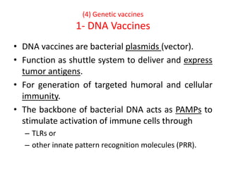 (4) Genetic vaccines
1- DNA Vaccines
• DNA vaccines are bacterial plasmids (vector).
• Function as shuttle system to deliver and express
tumor antigens.
• For generation of targeted humoral and cellular
immunity.
• The backbone of bacterial DNA acts as PAMPs to
stimulate activation of immune cells through
– TLRs or
– other innate pattern recognition molecules (PRR).
 