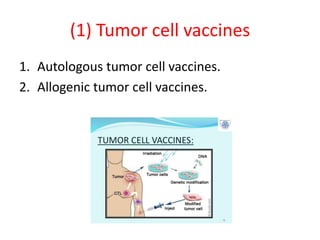 (1) Tumor cell vaccines
1. Autologous tumor cell vaccines.
2. Allogenic tumor cell vaccines.
 