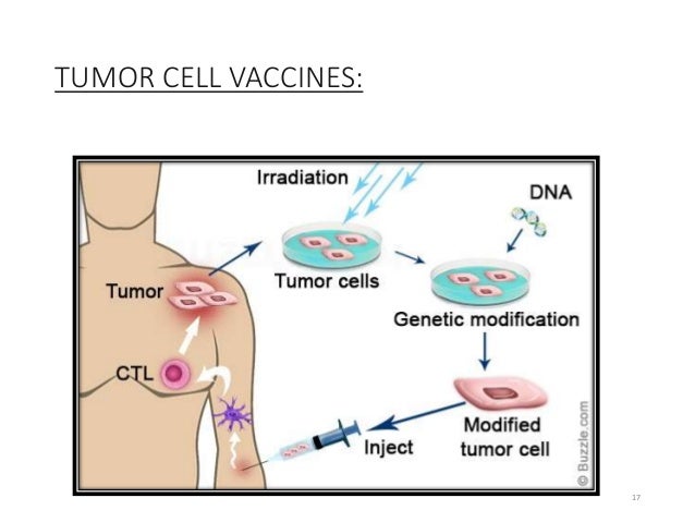 cancer vaccine ppt Personalized vaccines for cancer immunotherapy | science.