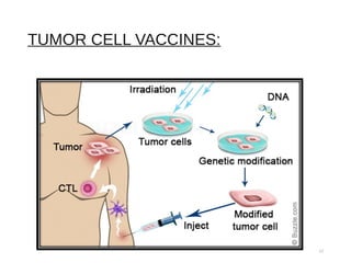 TUMOR CELL VACCINES:
17
 