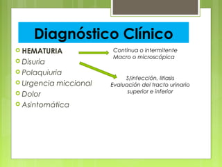 Diagnóstico Clínico
 HEMATURIA
 Disuria
 Polaquiuria
 Urgencia miccional
 Dolor
 Asintomática
Continua o intermitente
Macro o microscópica
S/infección, litiasis
Evaluación del tracto urinario
superior e inferior
 
