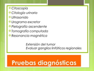 Pruebas diagnósticas
 Citoscopía
 Citología urinaria
 Ultrasonido
 Urograma excretor
 Pielografía ascendente
 Tomografía computada
 Resonancia magnética
Extensión del tumor
Evaluar ganglios linfáticos regionales
 