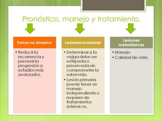 Pronóstico, manejo y tratamiento.
 