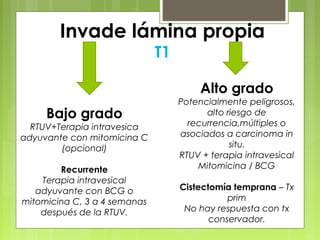 Invade lámina propia
T1
Bajo grado
RTUV+Terapia intravesica
adyuvante con mitomicina C
(opcional)
Recurrente
Terapia intravesical
adyuvante con BCG o
mitomicina C, 3 a 4 semanas
después de la RTUV.
Alto grado
Potencialmente peligrosos,
alto riesgo de
recurrencia,múltiples o
asociados a carcinoma in
situ.
RTUV + terapia intravesical
Mitomicina / BCG
Cistectomía temprana – Tx
prim
No hay respuesta con tx
conservador.
 