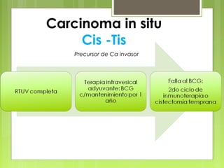 Carcinoma in situ
Cis -Tis
Precursor de Ca invasor
 