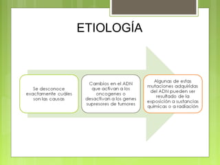 ETIOLOGÍA
 