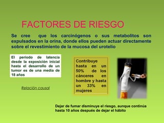 FACTORES DE RIESGO
Se cree que los carcinógenos o sus metabolitos son
expulsados en la orina, donde ellos pueden actuar directamente
sobre el revestimiento de la mucosa del urotelio
El periodo de latencia
desde la exposición inicial
hasta el desarrollo de un
tumor es de una media de
18 años
Relación causal
Dejar de fumar disminuye el riesgo, aunque continúa
hasta 10 años después de dejar el hábito
 