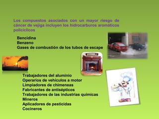 Los compuestos asociados con un mayor riesgo de
cáncer de vejiga incluyen los hidrocarburos aromáticos
policíclicos
Bencidina
Benzeno
Gases de combustión de los tubos de escape
Trabajadores del aluminio
Operarios de vehículos a motor
Limpiadores de chimeneas
Fabricantes de antisépticos
Trabajadores de las industrias químicas
Mineros
Aplicadores de pesticidas
Cocineros
 