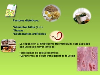 Factores dietéticos:
*Alimentos fritos (+++)
*Grasas
*Edulcorantes artificiales
La exposición al Shistosoma Haematobium, está asociado
con un riesgo mayor tanto de:
*carcinomas de célula escamosa
*Carcinomas de célula transicional de la vejiga
 