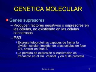 GENETICA MOLECULAR Genes   supresores   Producen factores negativos o supresores en las células, no existiendo en las células cancerosas P53 Expresa fotoproteinas capaces de frenar la división celular, impidiendo a las células en fase G1, entrrar en fase S La pérdida de expresión o inactivación es frecuente en el Ca. Vesical  y en el de próstata 