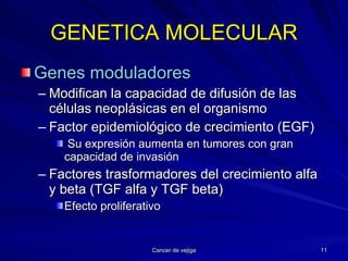 GENETICA MOLECULAR Genes moduladores Modifican la capacidad de difusión de las células neoplásicas en el organismo Factor epidemiológico de crecimiento (EGF) Su expresión aumenta en tumores con gran capacidad de invasión Factores trasformadores del crecimiento alfa y beta (TGF alfa y TGF beta) Efecto proliferativo 