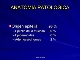 ANATOMIA PATOLOGICA Origen epitelial 98 % Epitelio de la mucosa 90 % Epidermoides   6 % Ademocarcinomas   2 % 