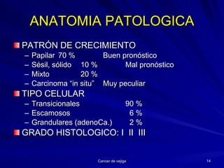 ANATOMIA PATOLOGICA PATRÓN DE CRECIMIENTO Papilar 70 %  Buen pronóstico Sésil, sólido 10 % Mal pronóstico Mixto 20 % Carcinoma “in situ” Muy peculiar TIPO CELULAR Transicionales 90 % Escamosos   6 % Grandulares (adenoCa.)   2 % GRADO HISTOLOGICO: I  II  III 
