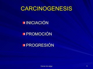 CARCINOGENESIS INICIACIÓN PROMOCIÓN PROGRESIÓN 