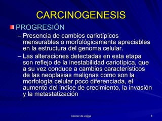 CARCINOGENESIS PROGRESIÓN Presencia de cambios cariotípicos mensurables o morfológicamente apreciables en la estructura del genoma celular. Las alteraciones detectadas en esta etapa son reflejo de la inestabilidad cariotípica, que a su vez conduce a cambios característicos de las neoplasias malignas como son la morfología celular poco diferenciada, el aumento del indice de crecimiento, la invasión y la metastatización 